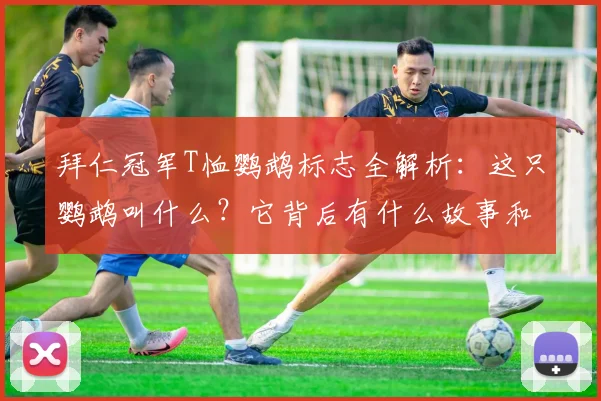拜仁冠军T恤鹦鹉标志全解析：这只鹦鹉叫什么？它背后有什么故事和特殊含义？