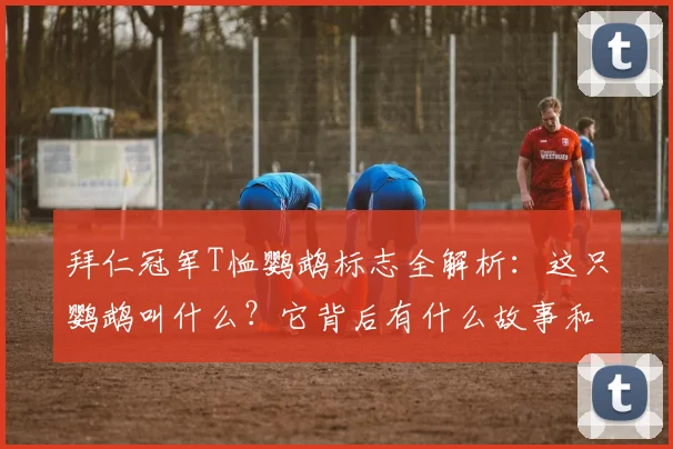 拜仁冠军T恤鹦鹉标志全解析:这只鹦鹉叫什么?它背后有什么故事和特殊含义?